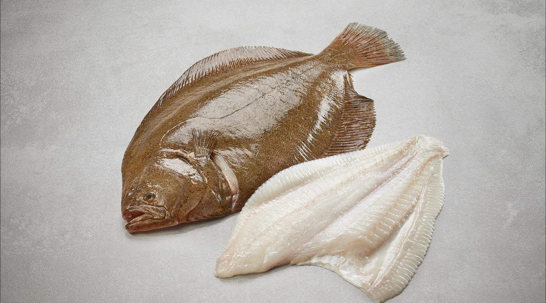 griet-grietfilet-lage-resolutie