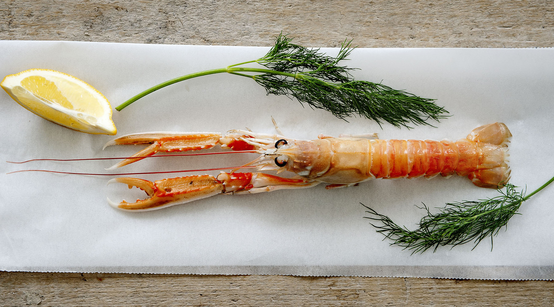 langoustine-lage-res-vis-vd-mnd1